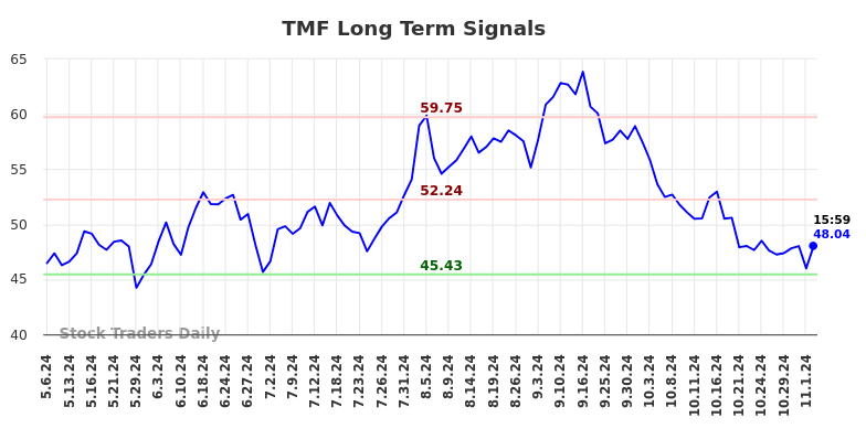 TMF Long Term Analysis for November 6 2024