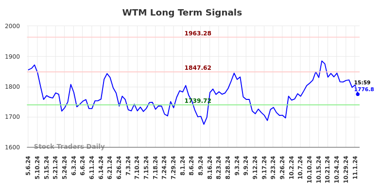 WTM Long Term Analysis for November 6 2024