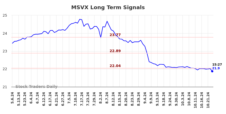 MSVX Long Term Analysis for November 6 2024