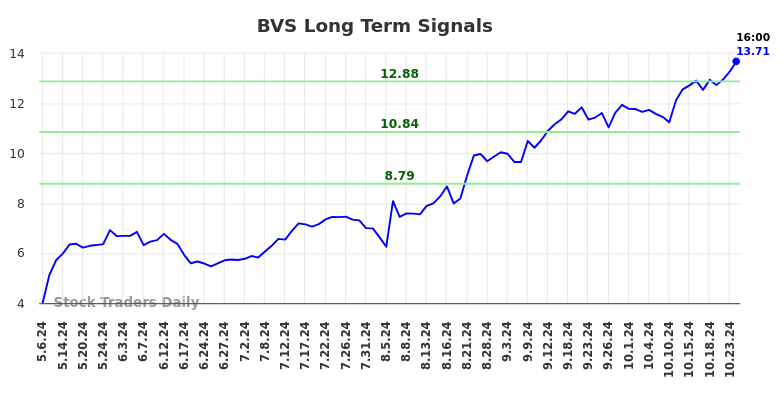 BVS Long Term Analysis for November 6 2024