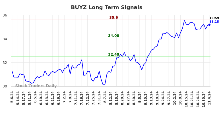 BUYZ Long Term Analysis for November 6 2024