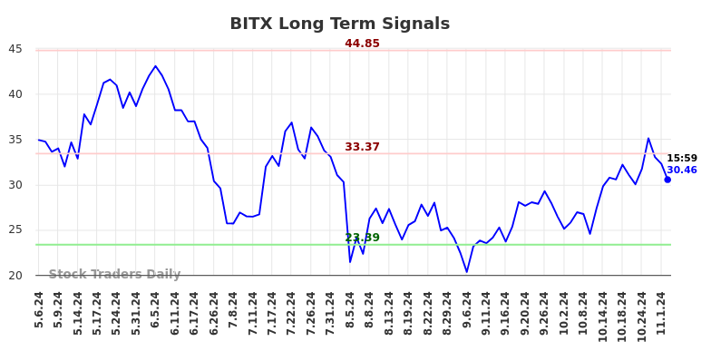 BITX Long Term Analysis for November 6 2024