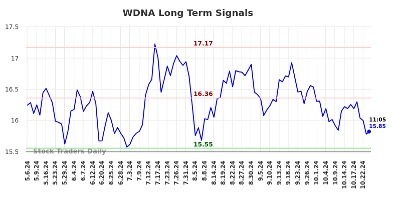 WDNA Long Term Analysis for November 6 2024