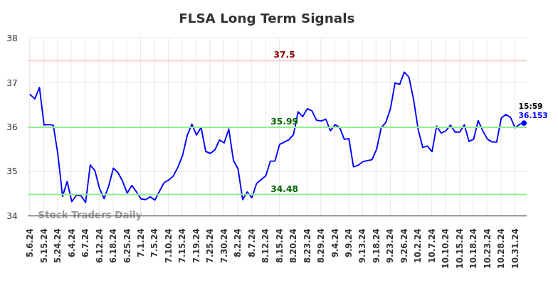 FLSA Long Term Analysis for November 6 2024