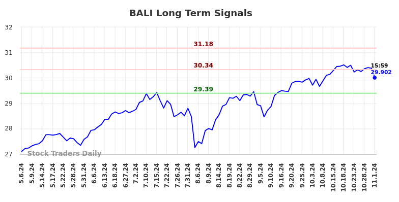 BALI Long Term Analysis for November 7 2024