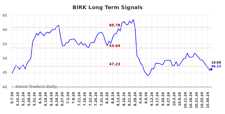 BIRK Long Term Analysis for November 7 2024