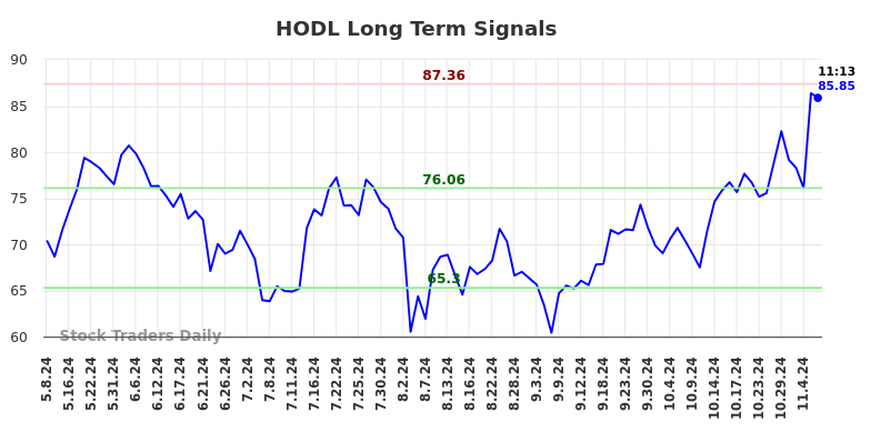 HODL Long Term Analysis for November 7 2024