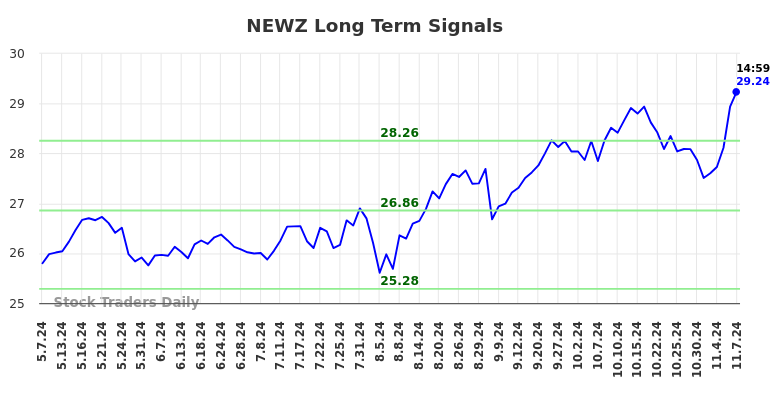 NEWZ Long Term Analysis for November 7 2024