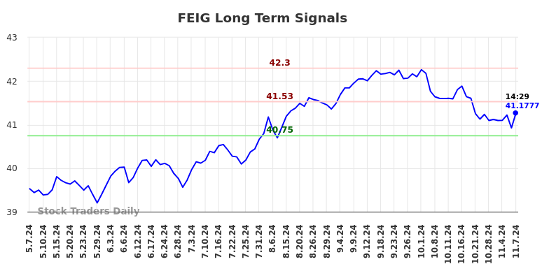 FEIG Long Term Analysis for November 7 2024