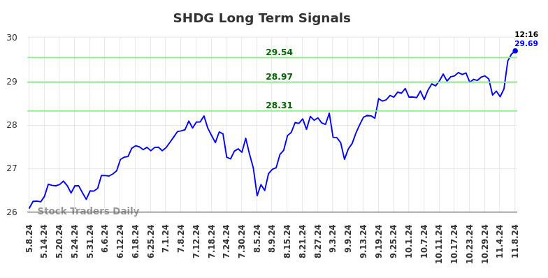 SHDG Long Term Analysis for November 8 2024