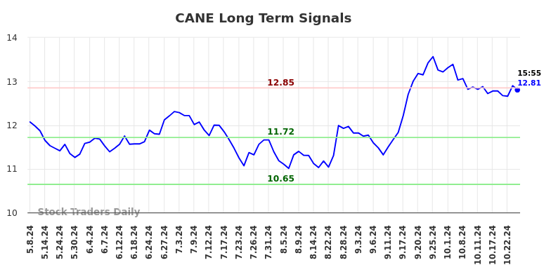 CANE Long Term Analysis for November 8 2024