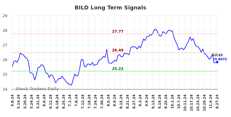 BILD Long Term Analysis for November 9 2024