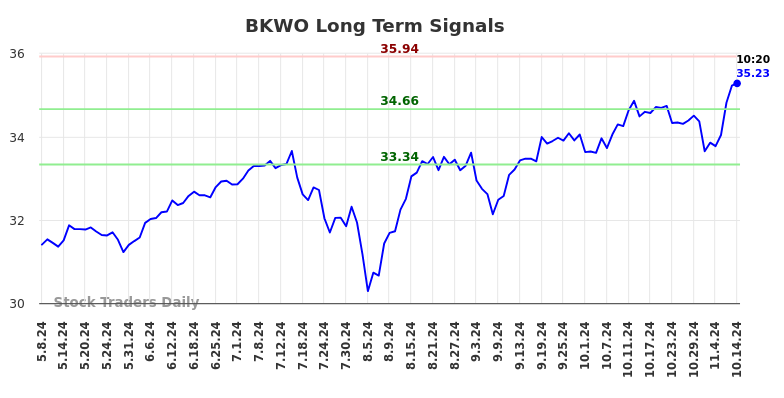 BKWO Long Term Analysis for November 9 2024