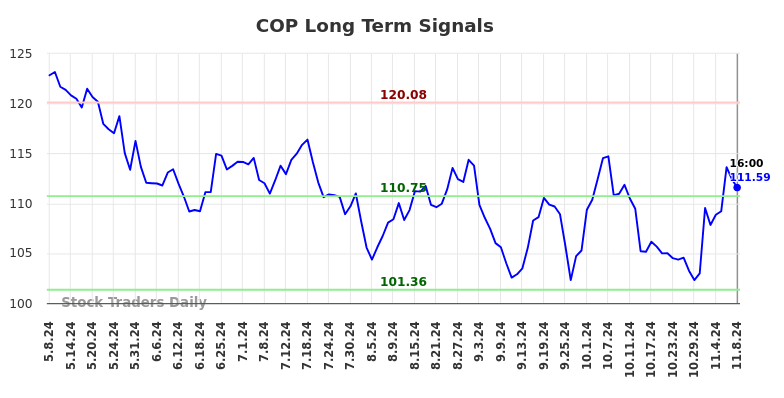 COP Long Term Analysis for November 9 2024