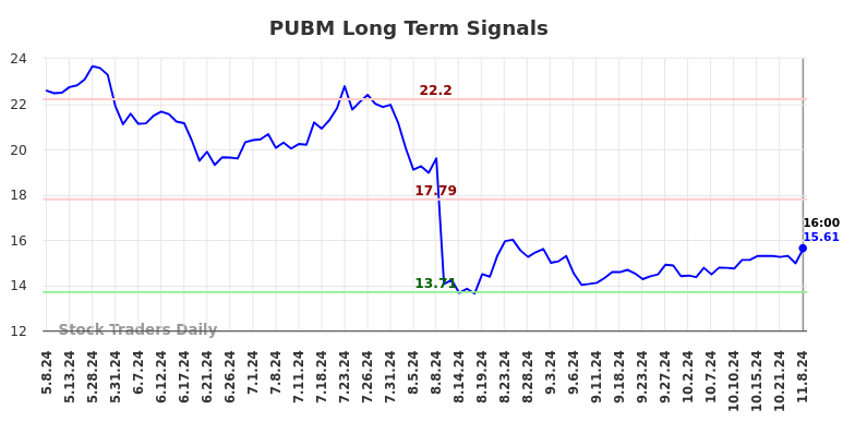 PUBM Long Term Analysis for November 10 2024