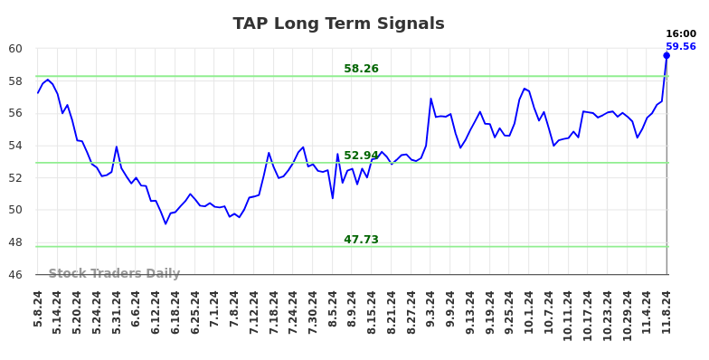 TAP Long Term Analysis for November 10 2024