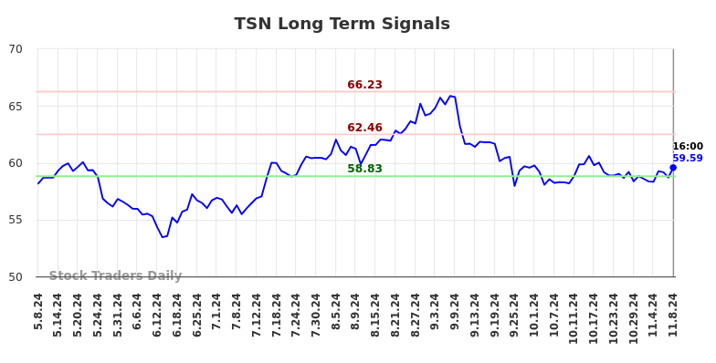 TSN Long Term Analysis for November 10 2024