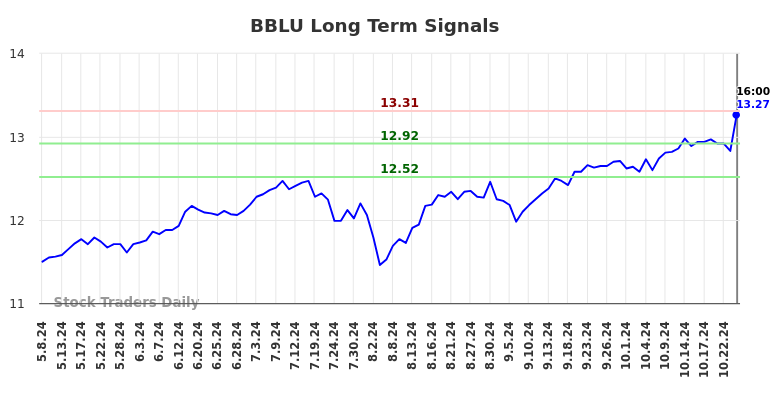 BBLU Long Term Analysis for November 10 2024