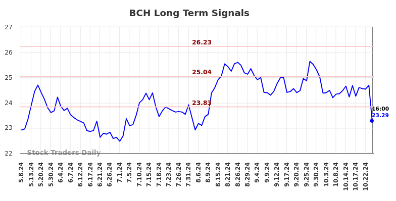 BCH Long Term Analysis for November 10 2024