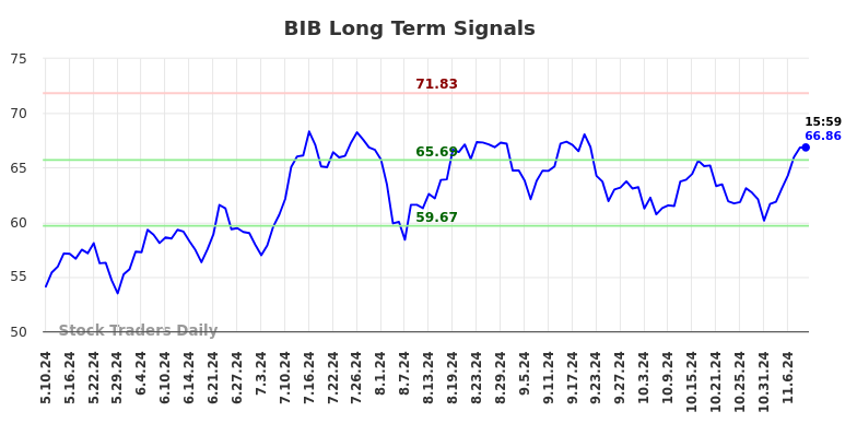 BIB Long Term Analysis for November 10 2024 BIB Long Term Analysis for November 10 2024