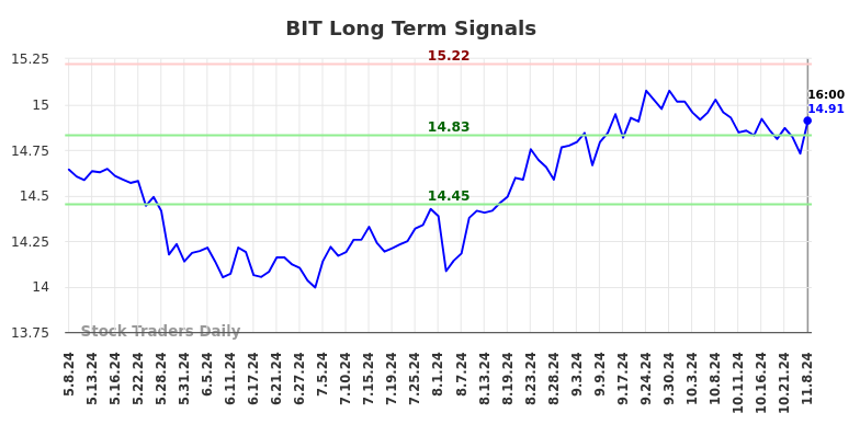 BIT Long Term Analysis for November 10 2024