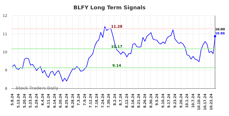 BLFY Long Term Analysis for November 11 2024