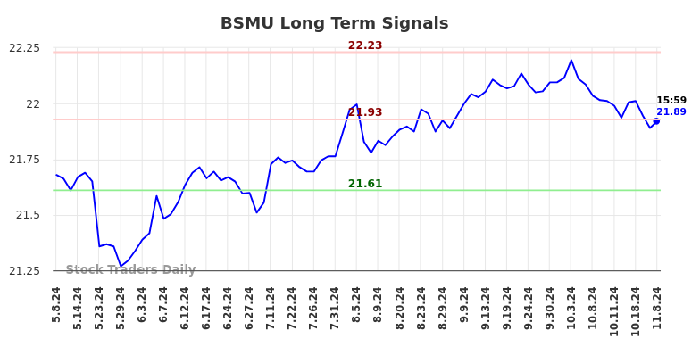 BSMU Long Term Analysis for November 11 2024