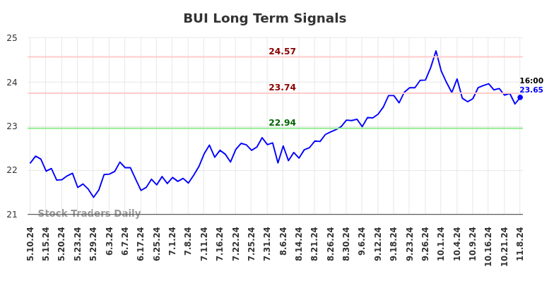 BUI Long Term Analysis for November 11 2024