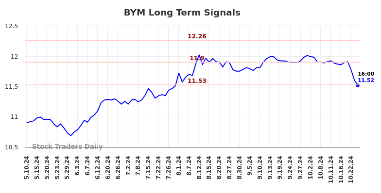 BYM Long Term Analysis for November 11 2024