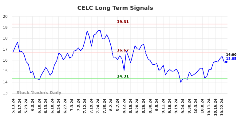 CELC Long Term Analysis for November 11 2024