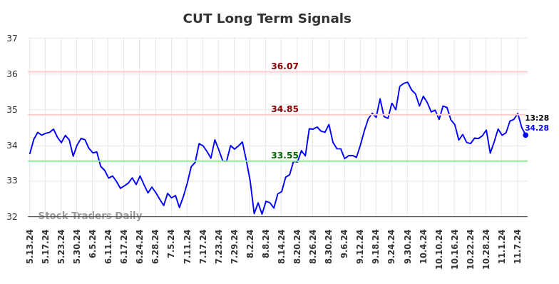 CUT Long Term Analysis for November 11 2024