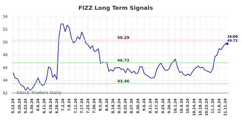 FIZZ Long Term Analysis for November 12 2024