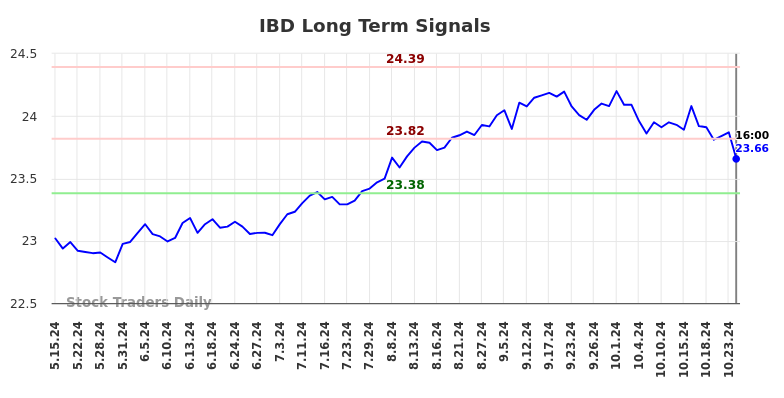 IBD Long Term Analysis for November 13 2024