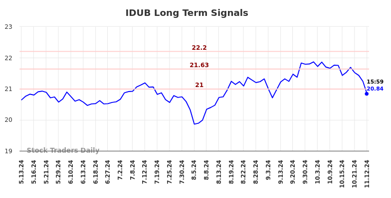 IDUB Long Term Analysis for November 13 2024