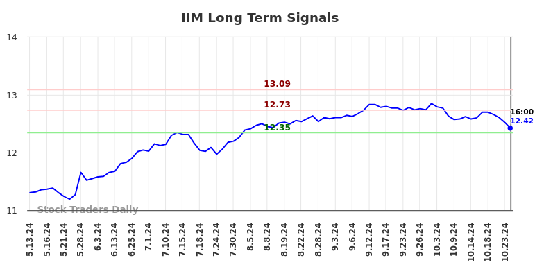 IIM Long Term Analysis for November 13 2024