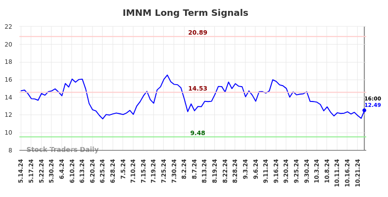 IMNM Long Term Analysis for November 13 2024