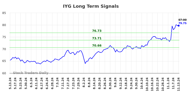 IYG Long Term Analysis for November 13 2024