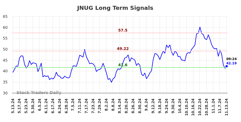 JNUG Long Term Analysis for November 13 2024