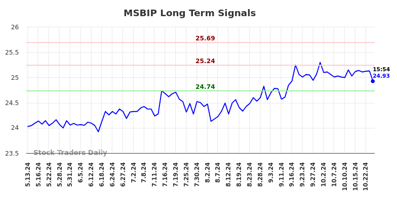 MSBIP Long Term Analysis for November 13 2024