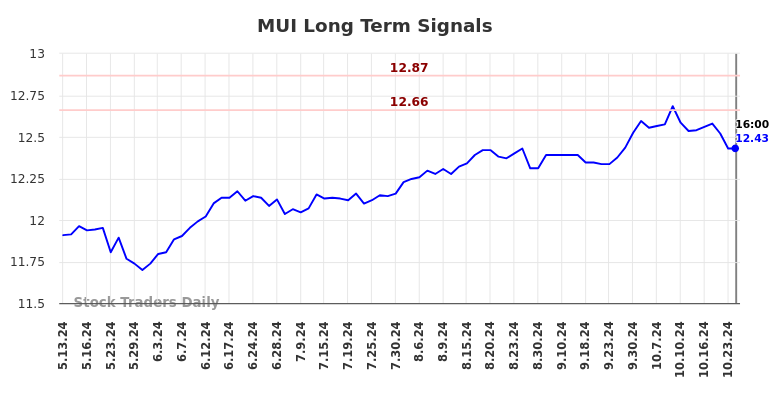 MUI Long Term Analysis for November 13 2024