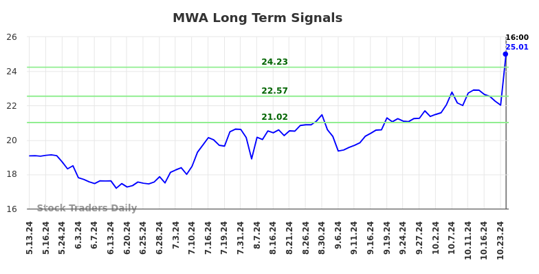 MWA Long Term Analysis for November 13 2024