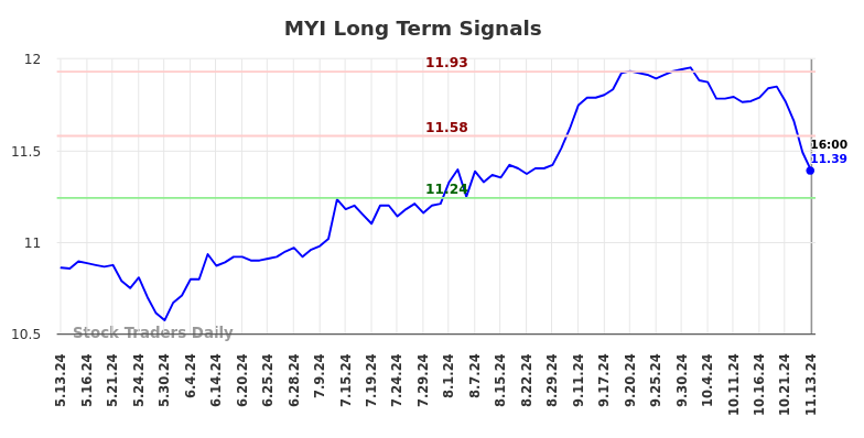 MYI Long Term Analysis for November 13 2024