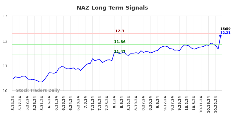 NAZ Long Term Analysis for November 13 2024