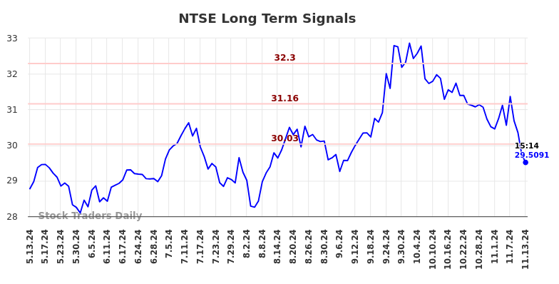 NTSE Long Term Analysis for November 14 2024