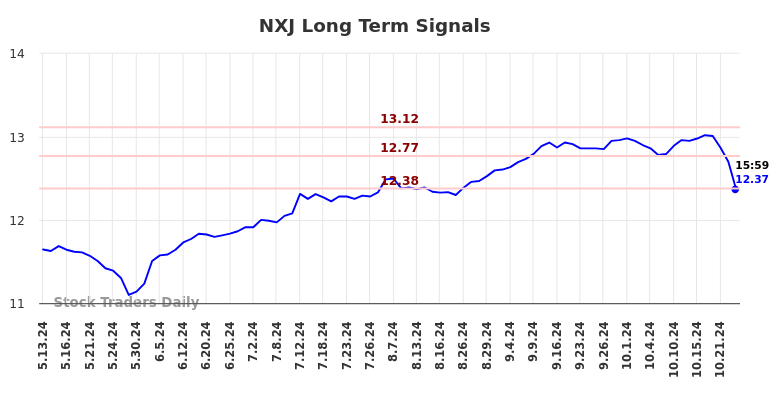 NXJ Long Term Analysis for November 14 2024