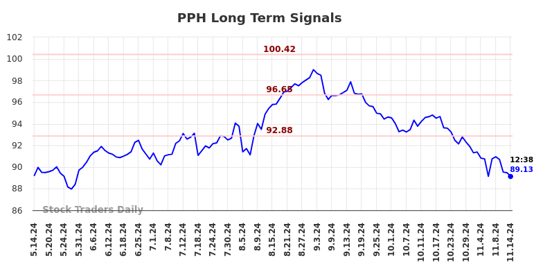 PPH Long Term Analysis for November 14 2024