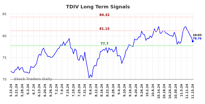 TDIV Long Term Analysis for November 15 2024