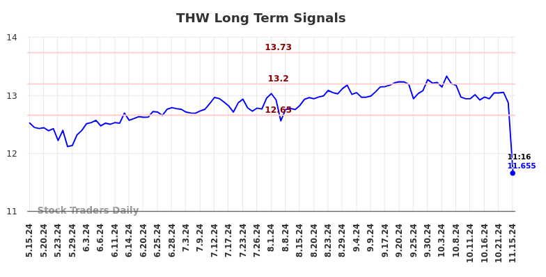 THW Long Term Analysis for November 15 2024