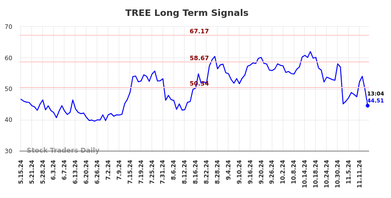 TREE Long Term Analysis for November 15 2024