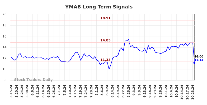 YMAB Long Term Analysis for November 16 2024